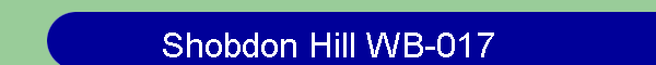 Shobdon Hill WB-017