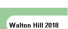 Walton Hill 2018