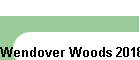 Wendover Woods 2018