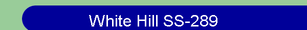 White Hill SS-289