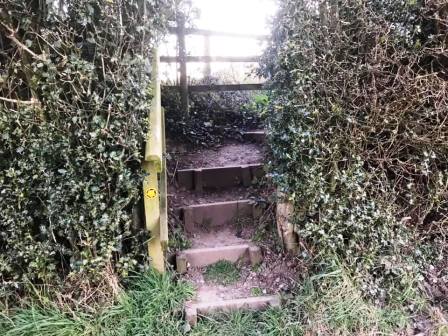 Path up to Longmoss Top