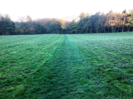 Footpath across Whirley estate