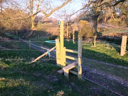 Highlees Wood