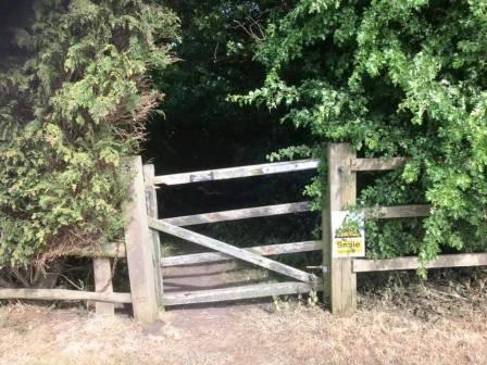 Top of wooded bridleway that descends from Fittontown Farm