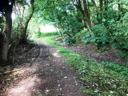 Path from Fittontown Farm down to the Alderley Road