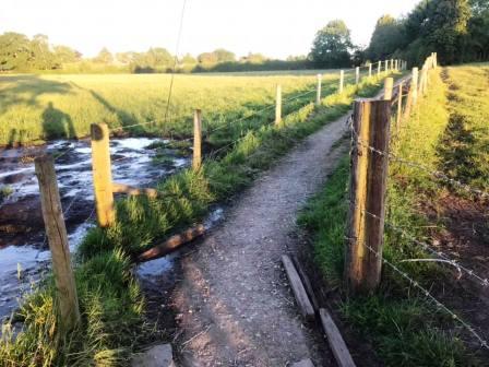 Fenced path between the common and tracks at Longmoss