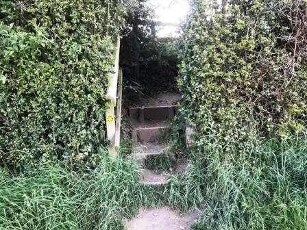 Steps to path across Longmoss