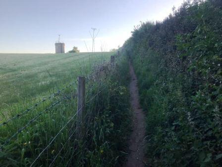 Path up to Longmoss