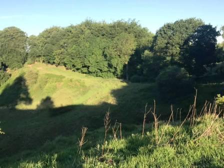 Looking towards the next section of path at Highlees