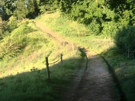 Pleasant section of track at Highlees