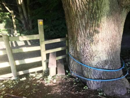 Stile at the bottom of the field - turn right onto the track here