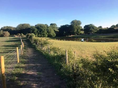 Between Birtles Lane and Hocker Lane