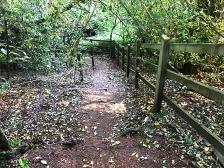 Delightful path between Birtles Lane and Hocker Lane