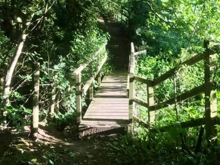 Path between Birtles Lane and Hocker Lane