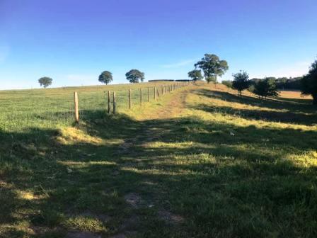 Ridge walk at Oaks Hill