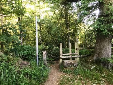 Entering Finlow Hill Wood