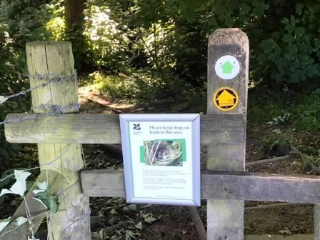 Stile in Hare Hill