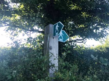 Footpath follows the road - but on the opposite side of the hedge in Hunters Pool Farm