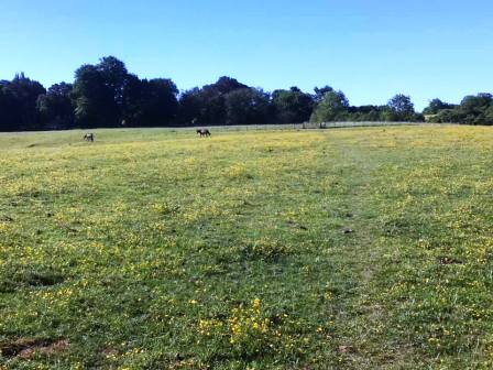 Approaching Prestbury