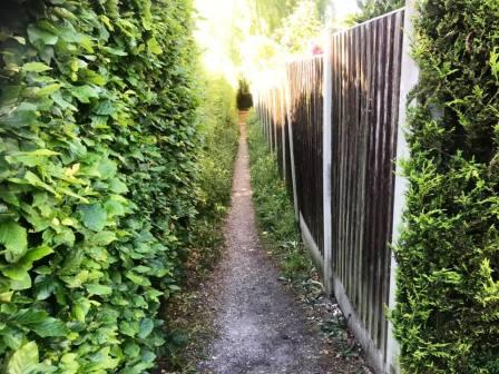 A long ginnel between backyards in Prestbury - who'd have thought it?