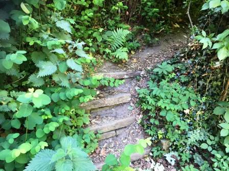 Public footpath from Prestbury to Upton Priory