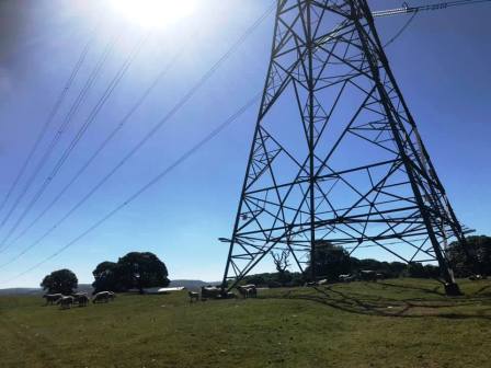 Electricity pylon approaching Upton Priory