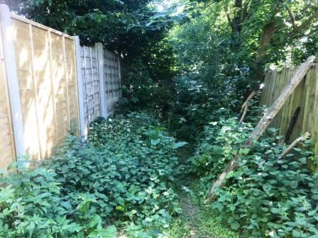 Last part of ginnel - rather overgrown!