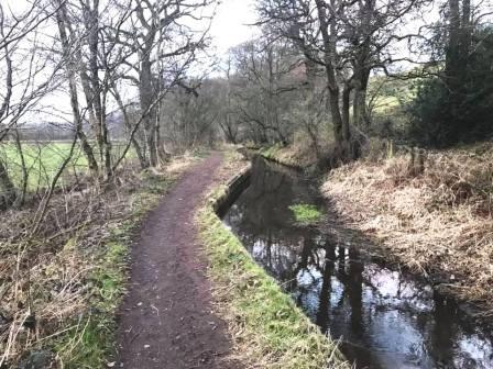 Staffordshire Way footpath alongside the canal feeder
